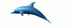 Animations - 062